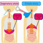 Minutes Fat Burner Abdominal Breathing Body Slimming Tool - Image 6